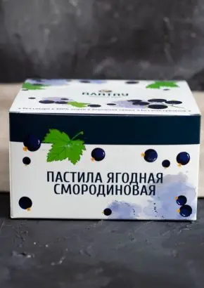 Пастила без сахара ягодная смородиновая 900 г