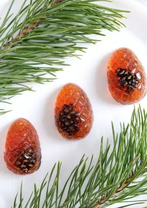 Мармелад с сосновой шишкой, 250 гр
