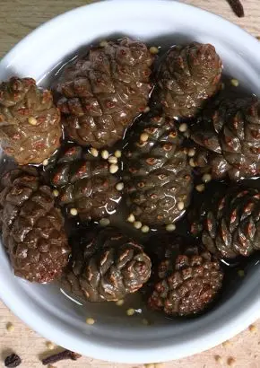 Каперсы из сосновых шишек маринованные с пряностями, 200 мл